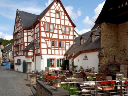 照片: Die Traube